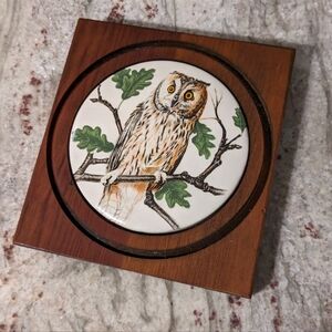 Vintage SQ. Wood Framed Round Ceramic Owl Tile Wall Decor Cabin Brown & White